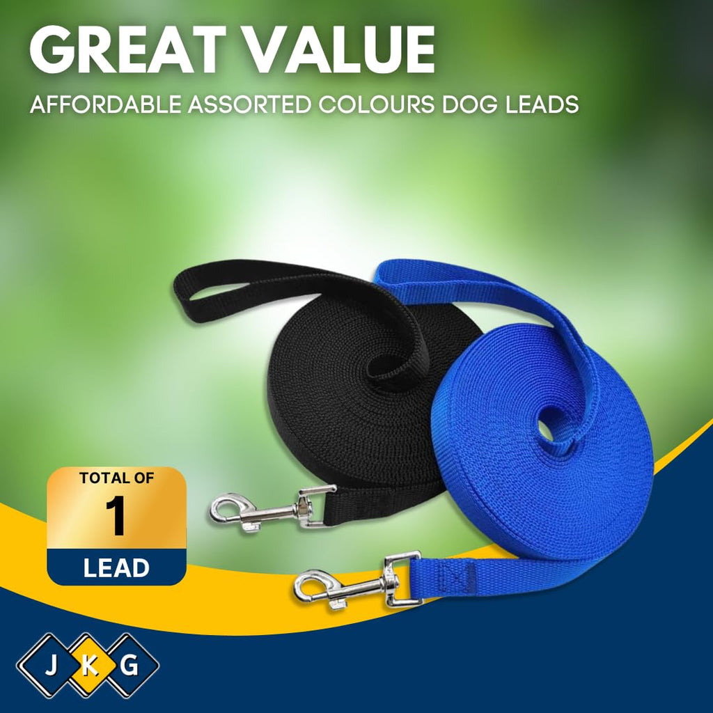 10m Dog Training Lead