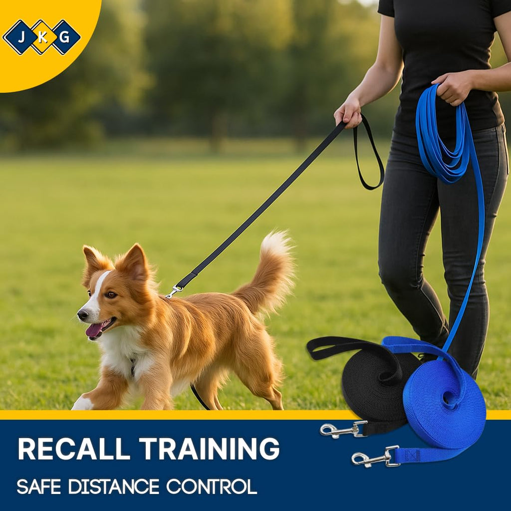 10m Dog Training Lead
