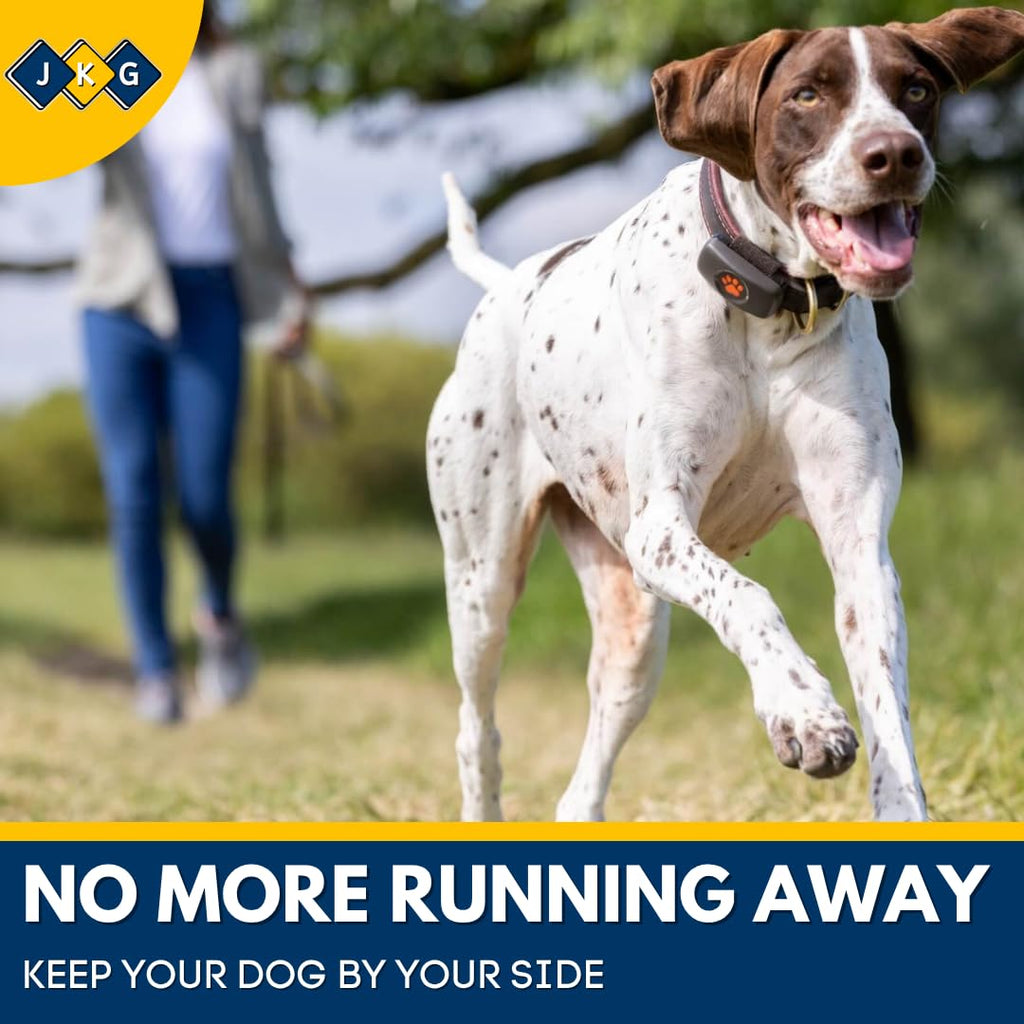 10m Dog Training Lead