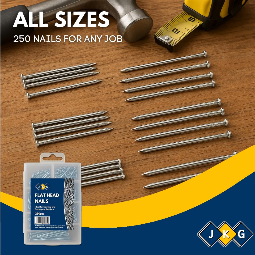 Assorted Nails – Pack of 250