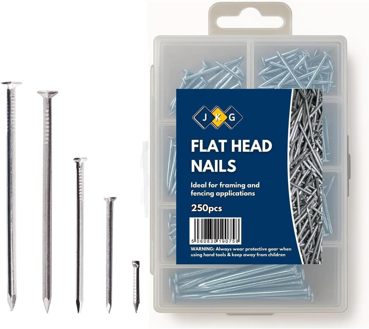 Assorted Nails – Pack of 250
