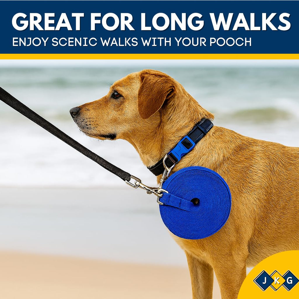 10m Dog Training Lead
