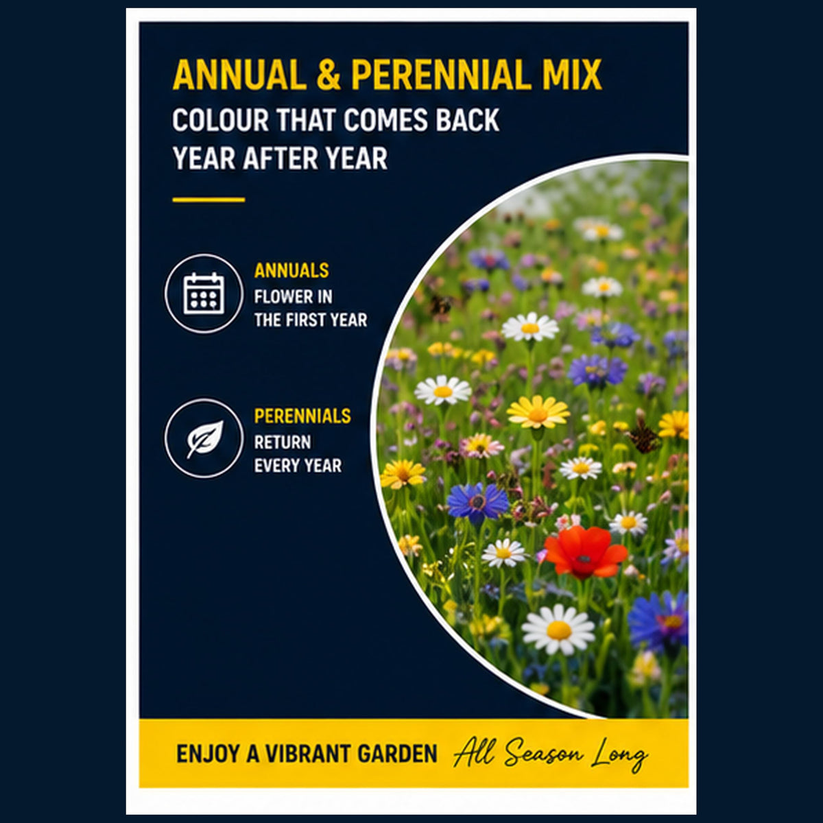 Wildflower Seed Mix – 1kg